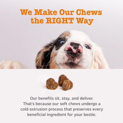 Senior Advanced Probiotic Bites for Dogs Chicken Flavor, 90 Count